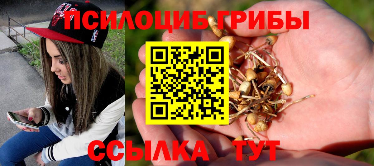 Якутск  Псилоцибиновые грибы мицелий  Вход с VPN 